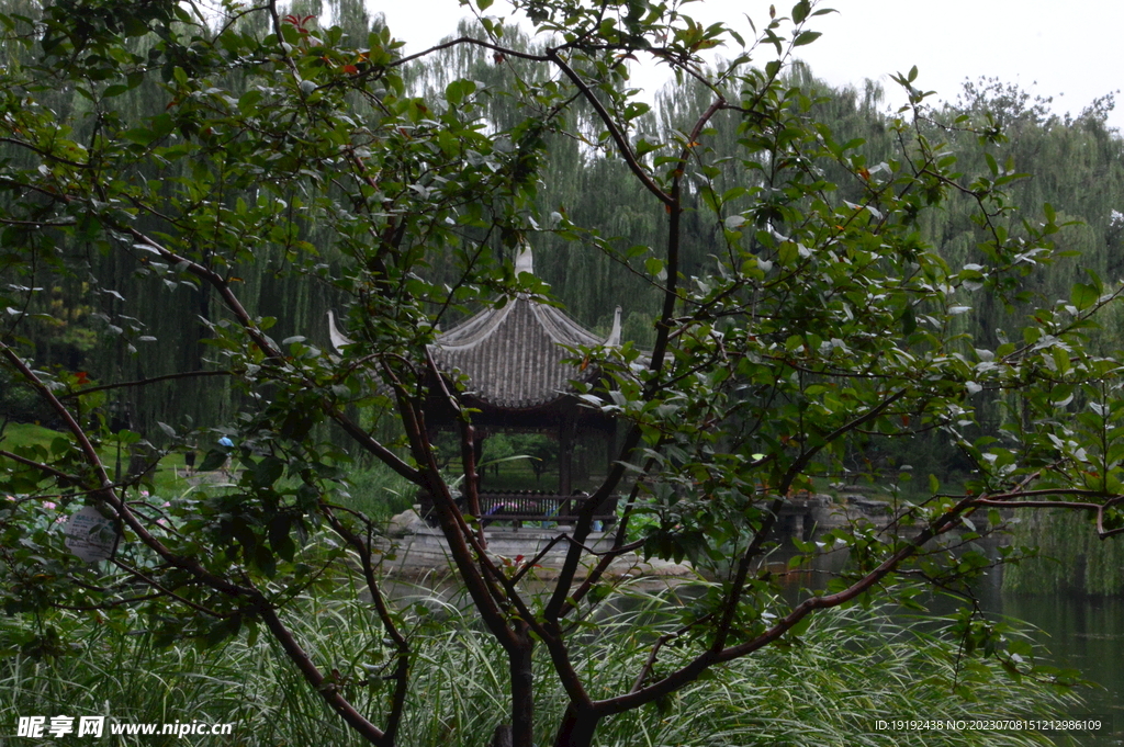 公园风景 