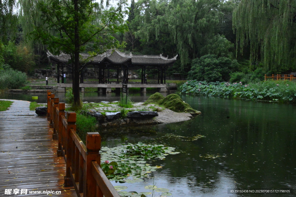 公园风景 