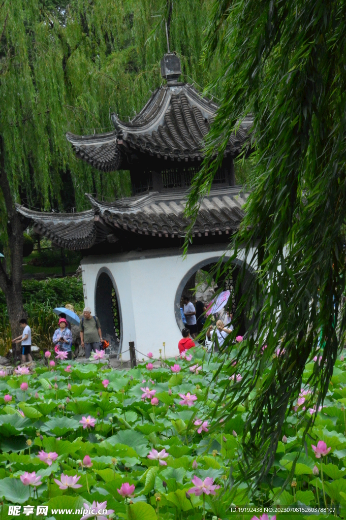 公园风景