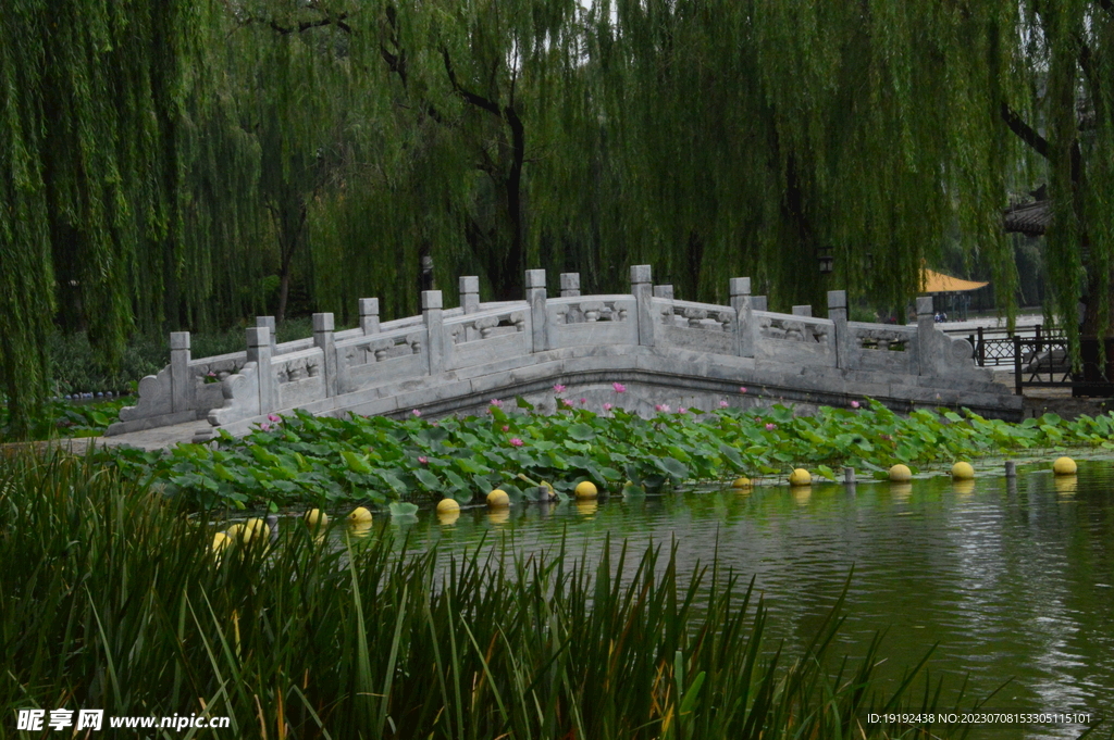 公园风景