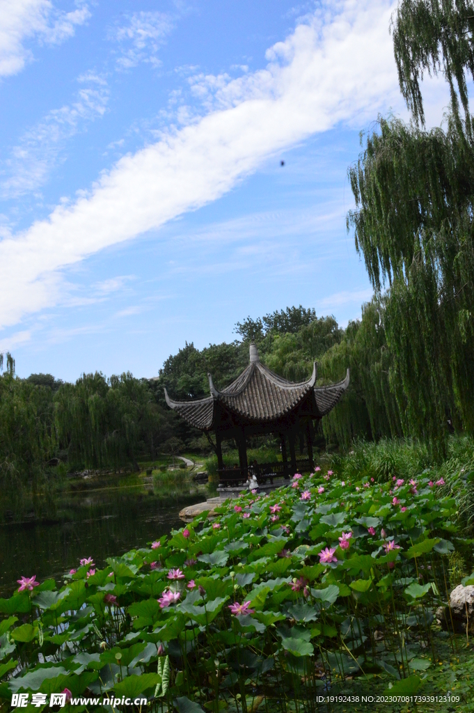 公园风景