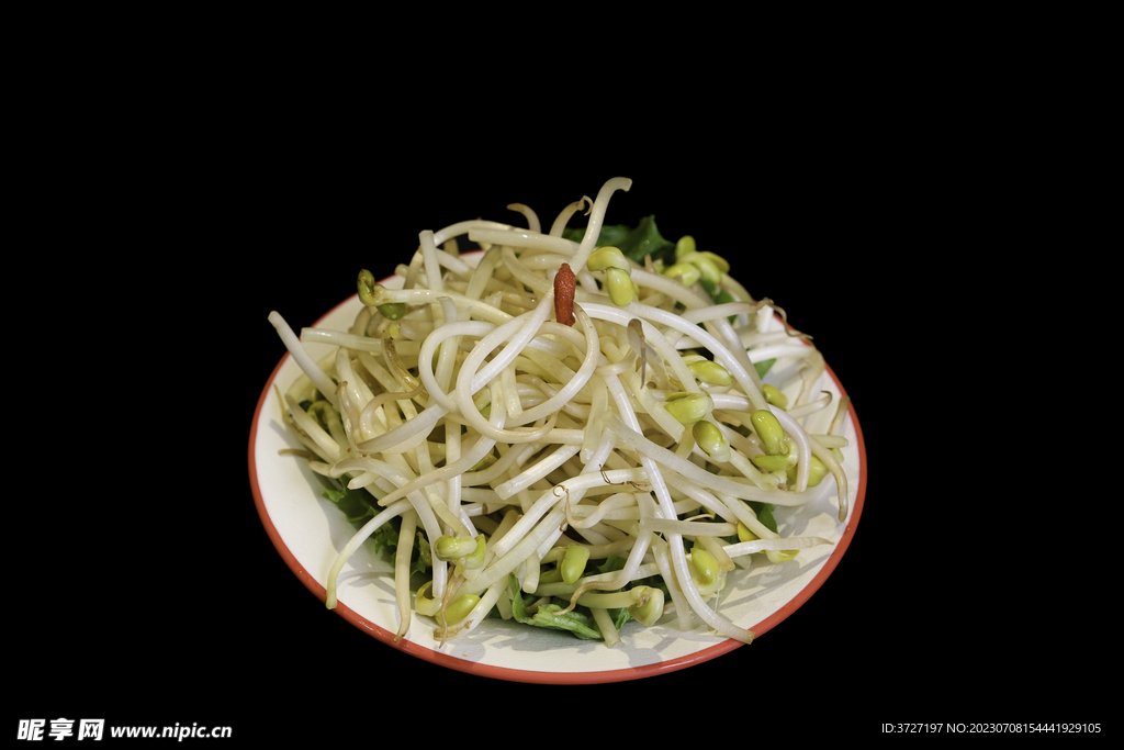 井水豆芽