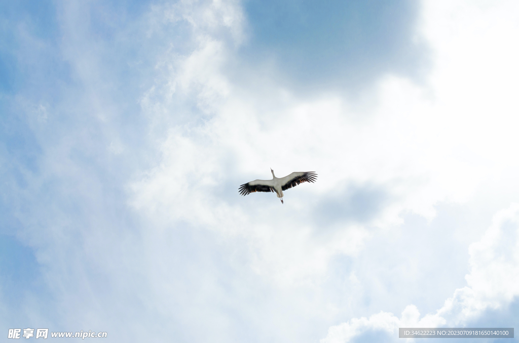 天空