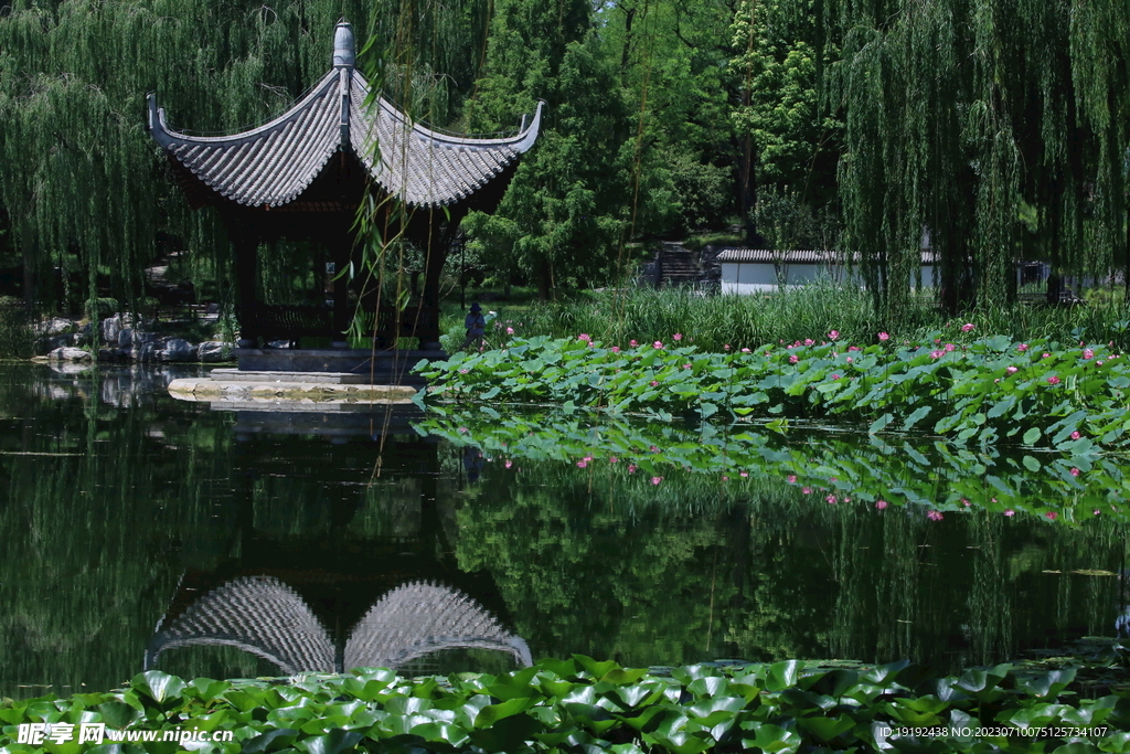 公园风景 