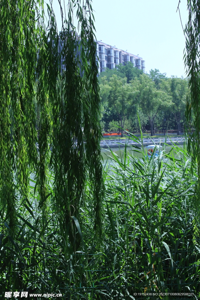 公园风景 