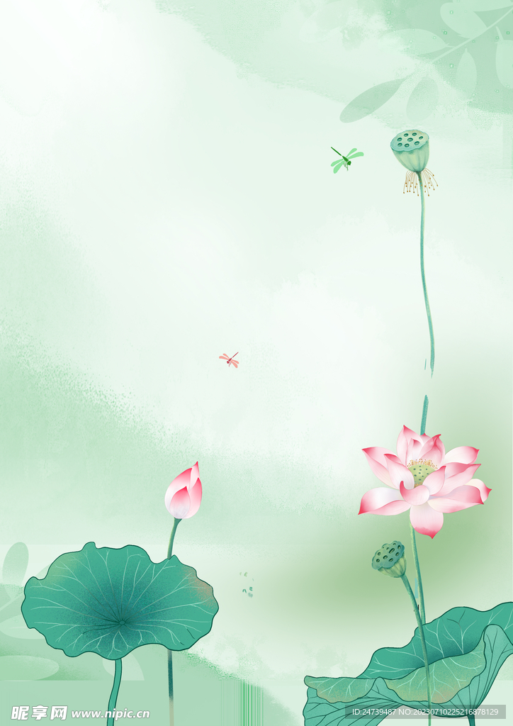 夏天背景