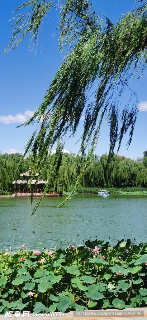 公园风景 