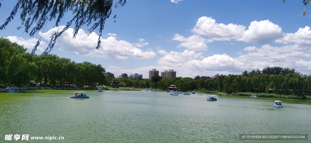 公园风景 