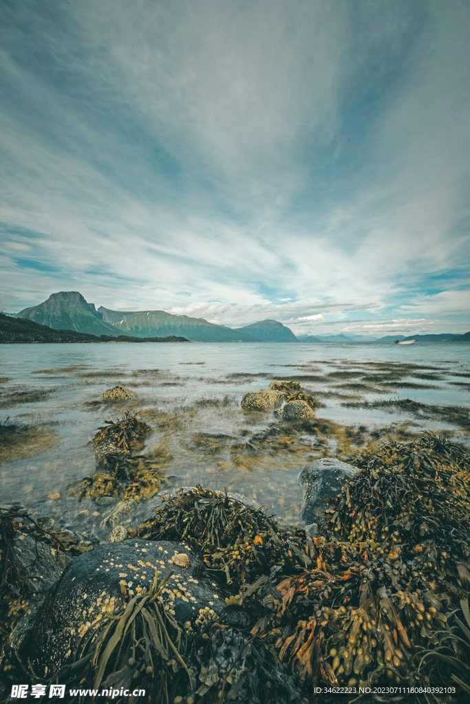 浅海