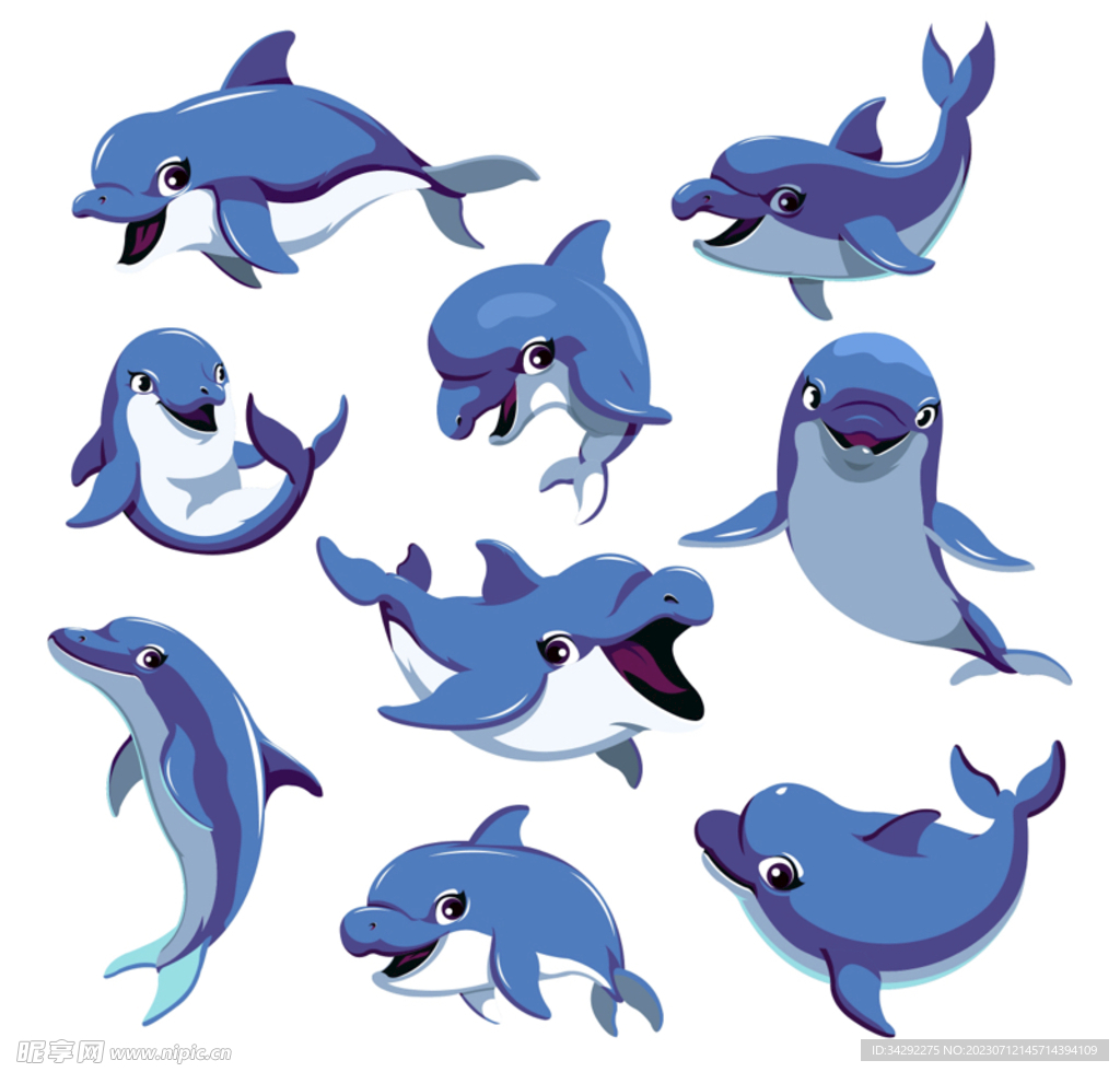 海豚插画