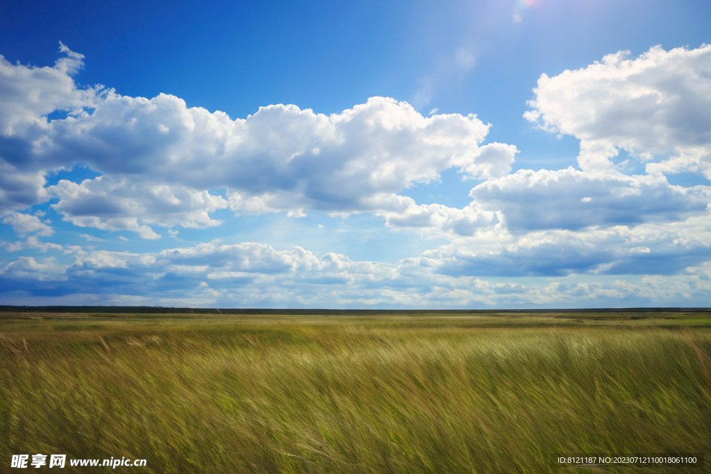 草地天空