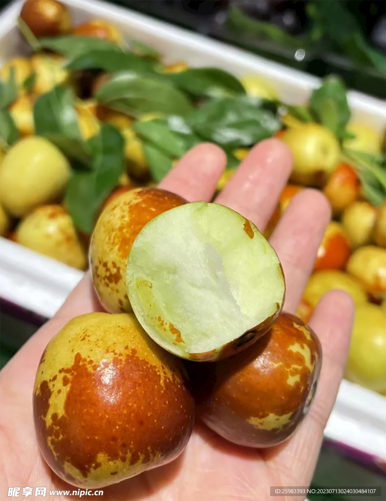 西北大脆枣