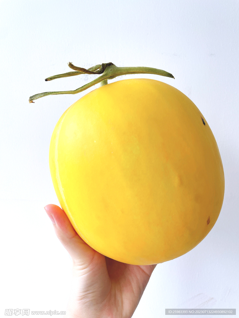 蜜瓜