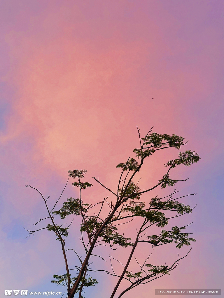晚霞