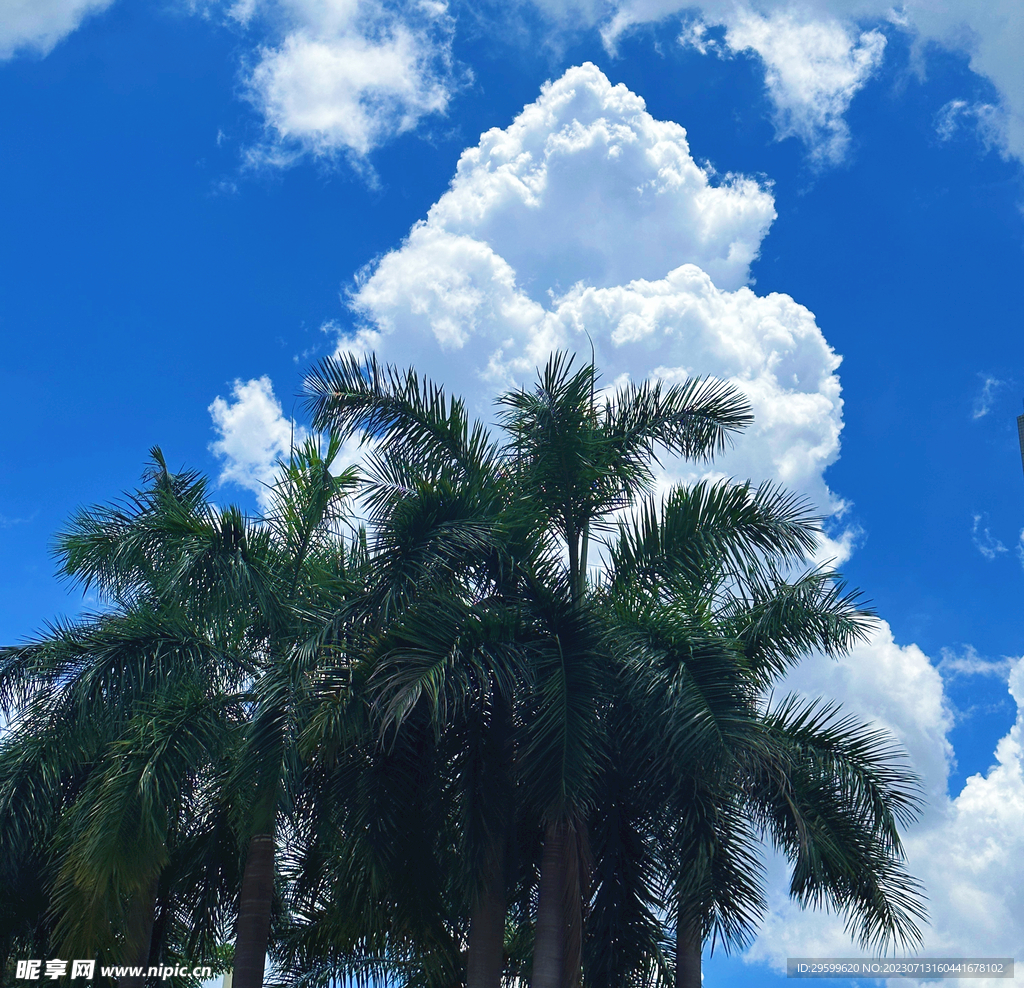 天空