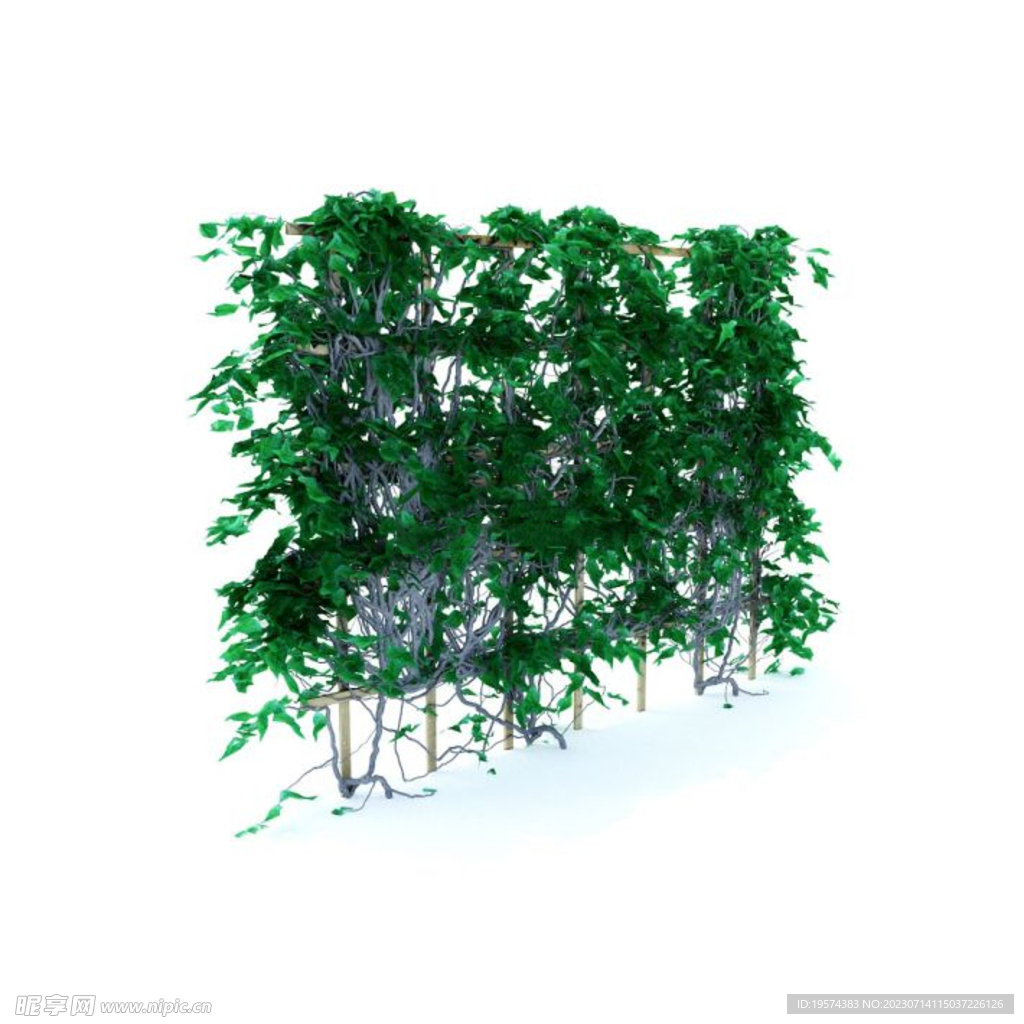 C4D模型 植物