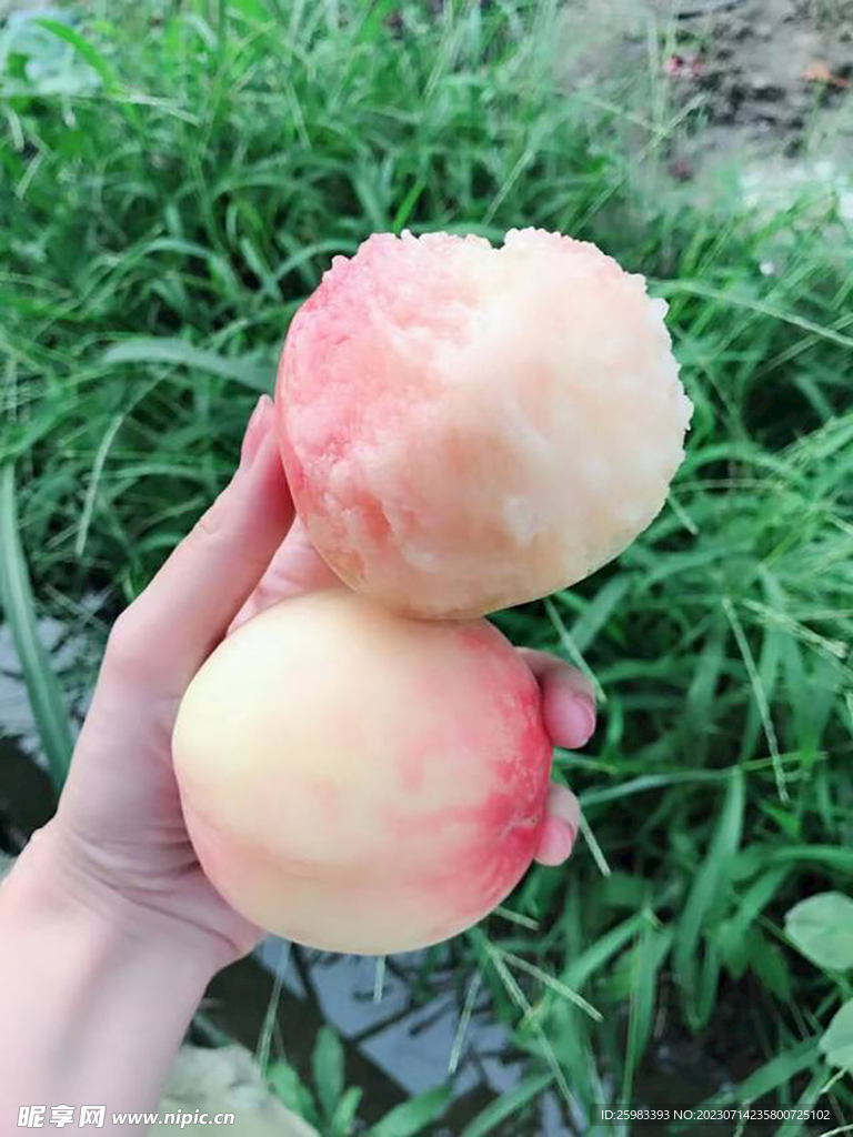 水蜜桃咬一口