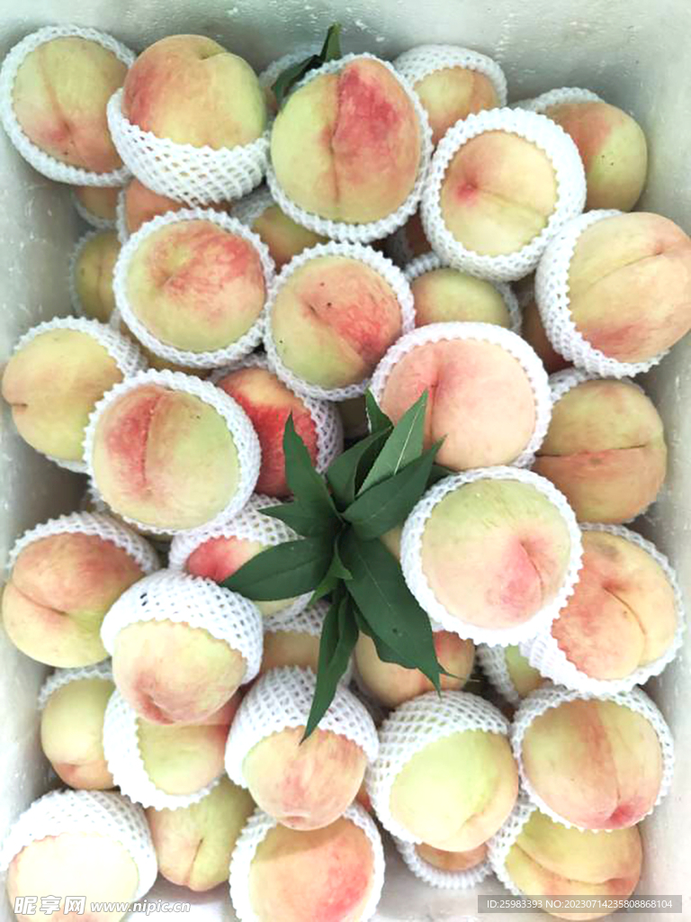水蜜桃