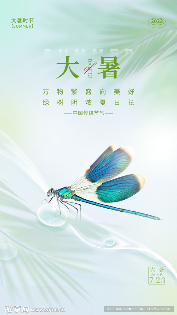 大暑海报