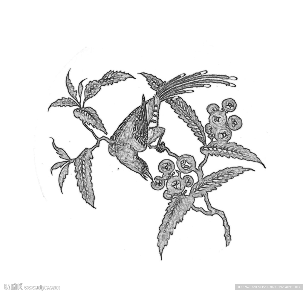 鸟趣
