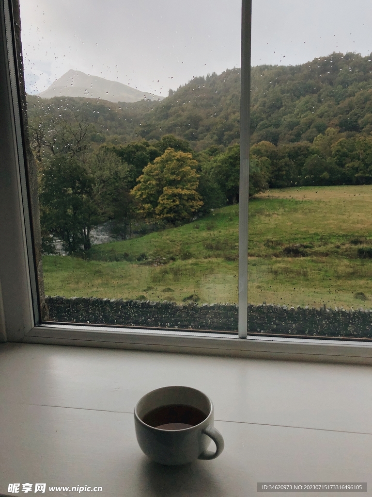 茶 