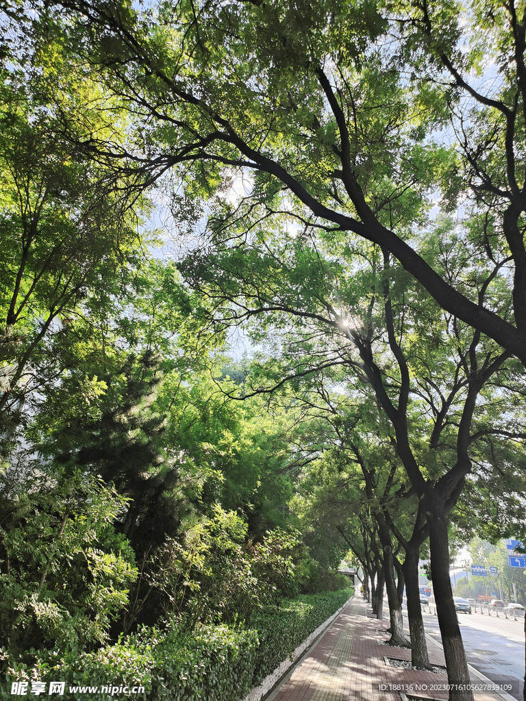 园林景观