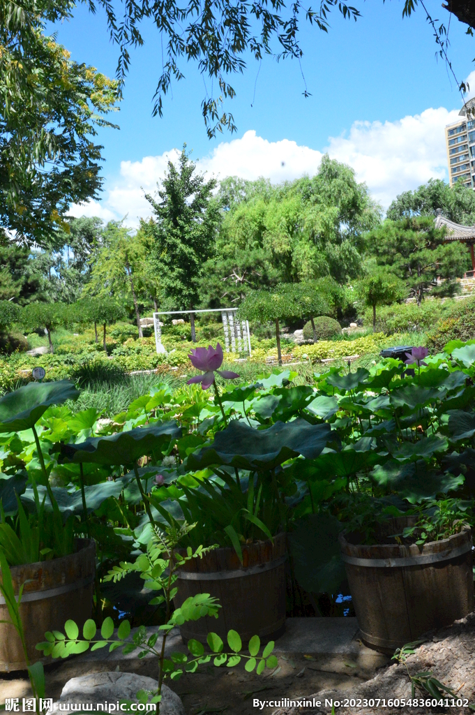 公园风景 