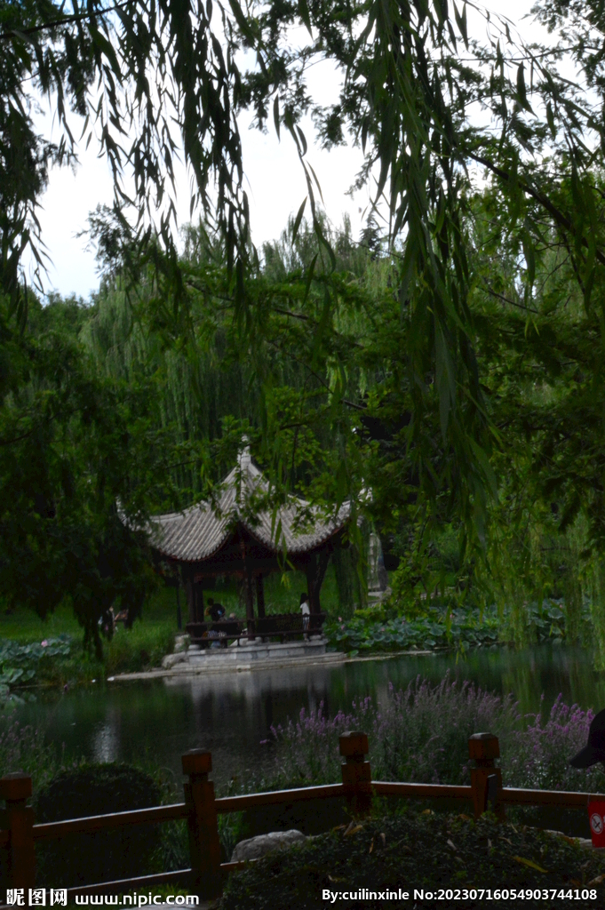 公园风景 
