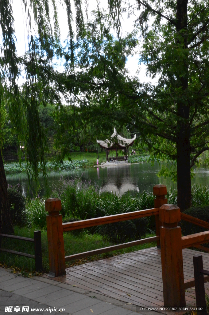 公园风景