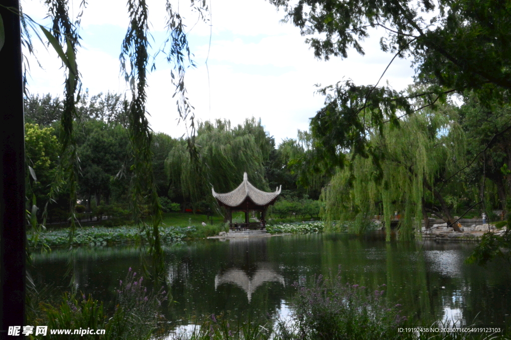 公园风景