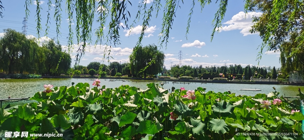 公园风景