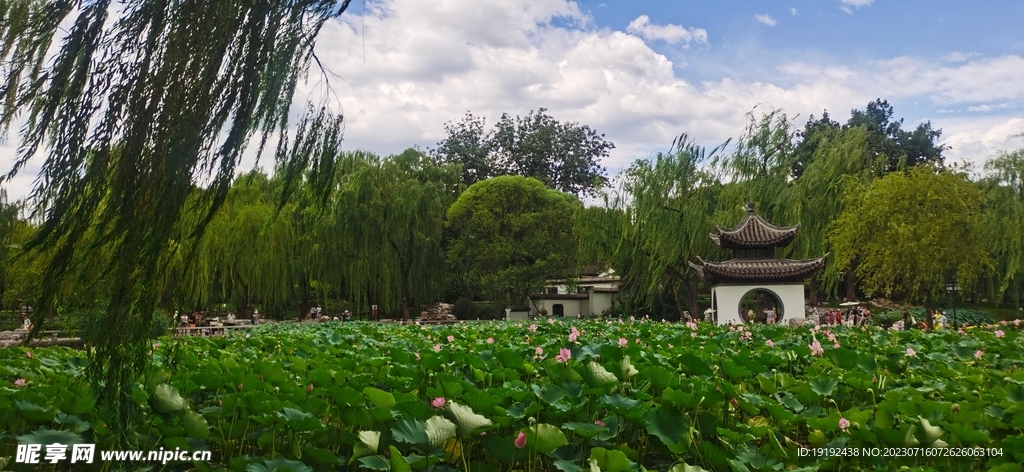 公园风景