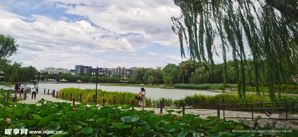 公园风景