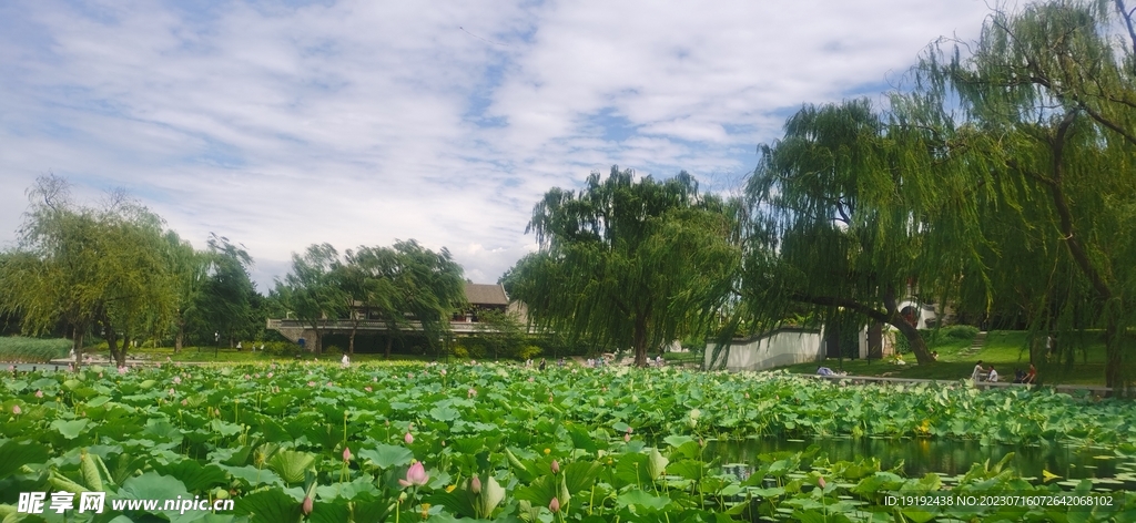 公园风景