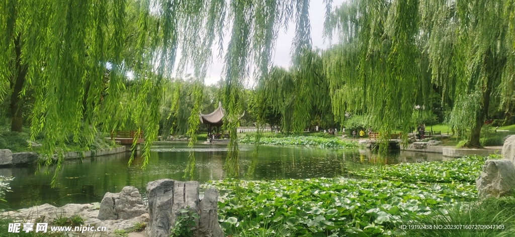 公园风景 