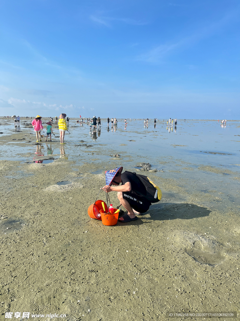 赶海