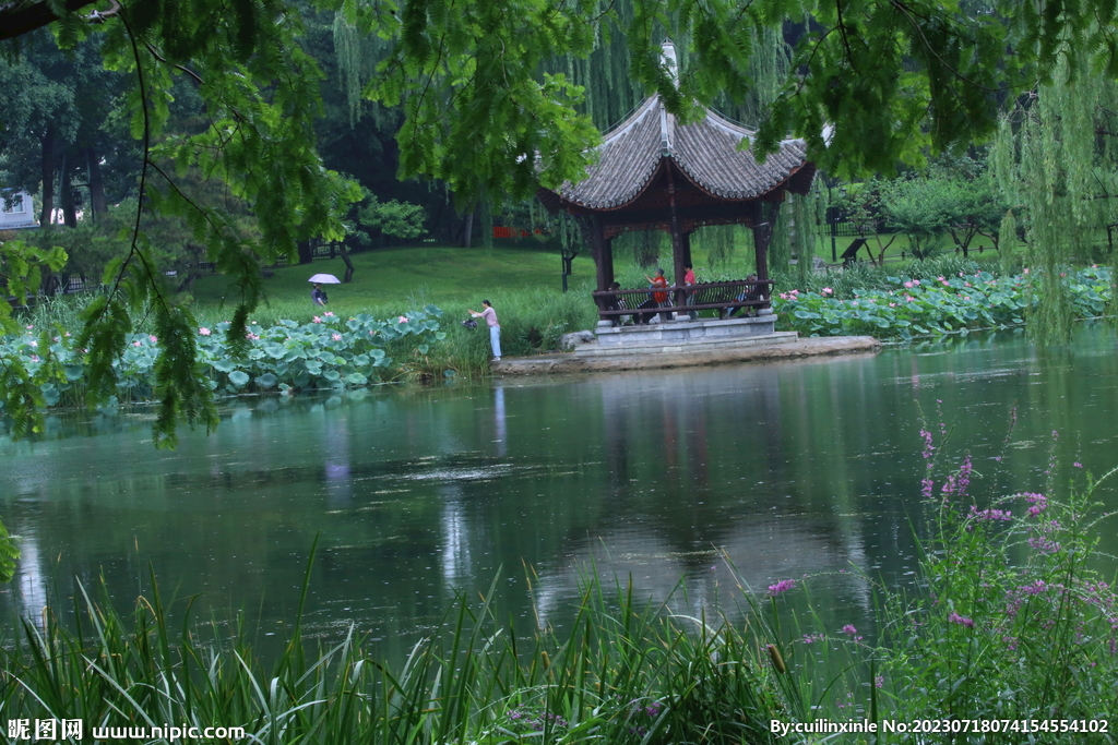 公园风景 