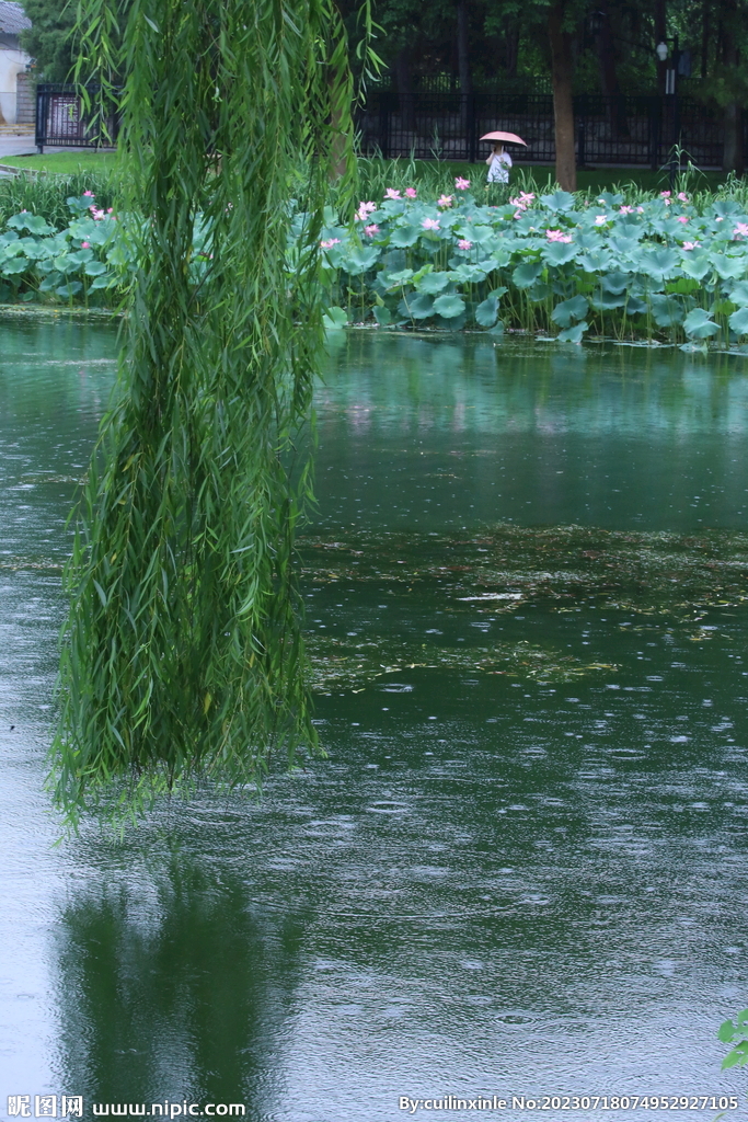 公园风景