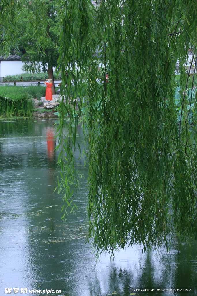 公园风景