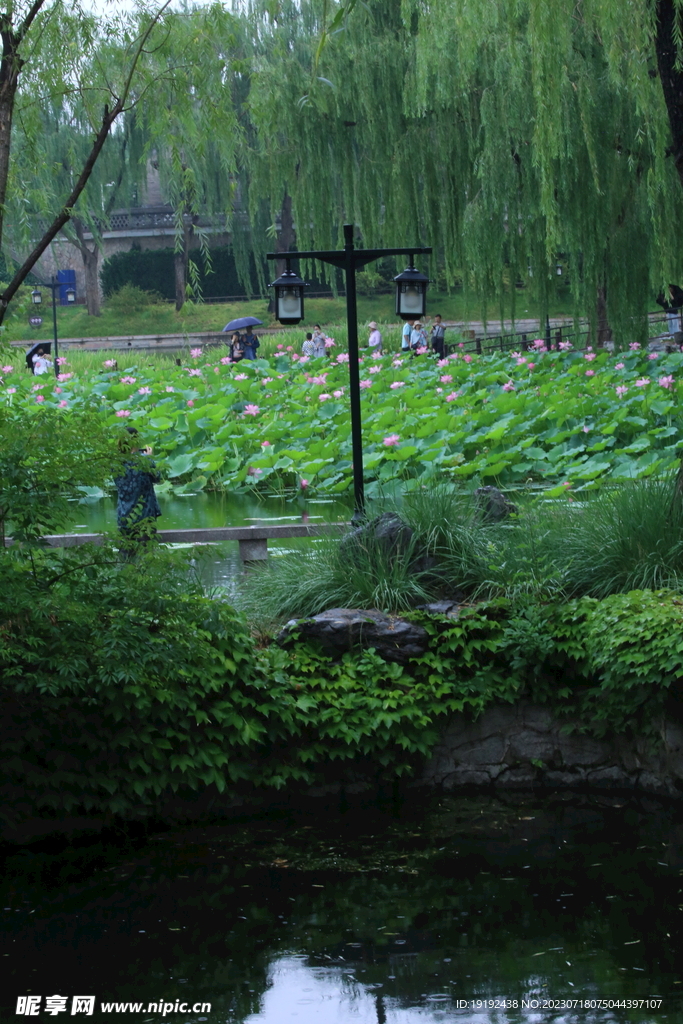 公园风景