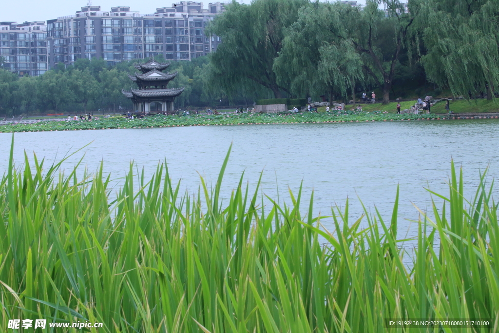 公园风景 