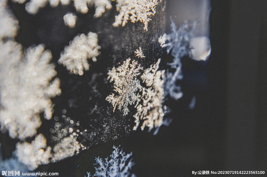 雪花