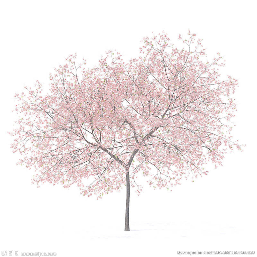 C4D模型 桃花树