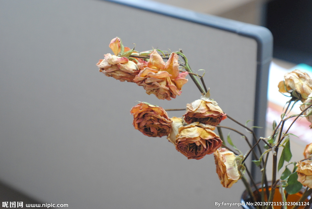 玫瑰花干花办公室台面摆设