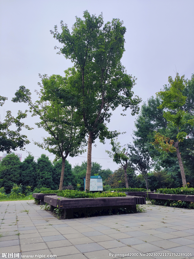 园林景观