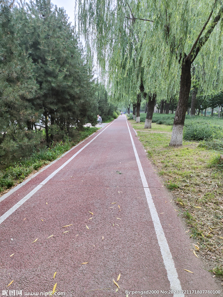 晨练跑道