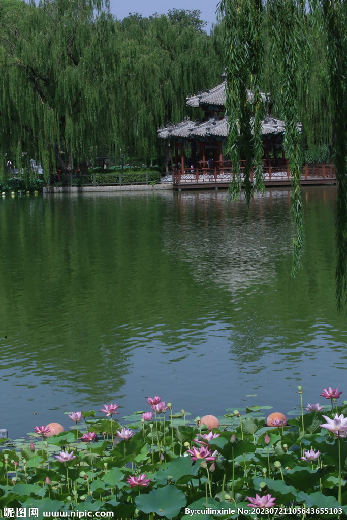 公园风景 