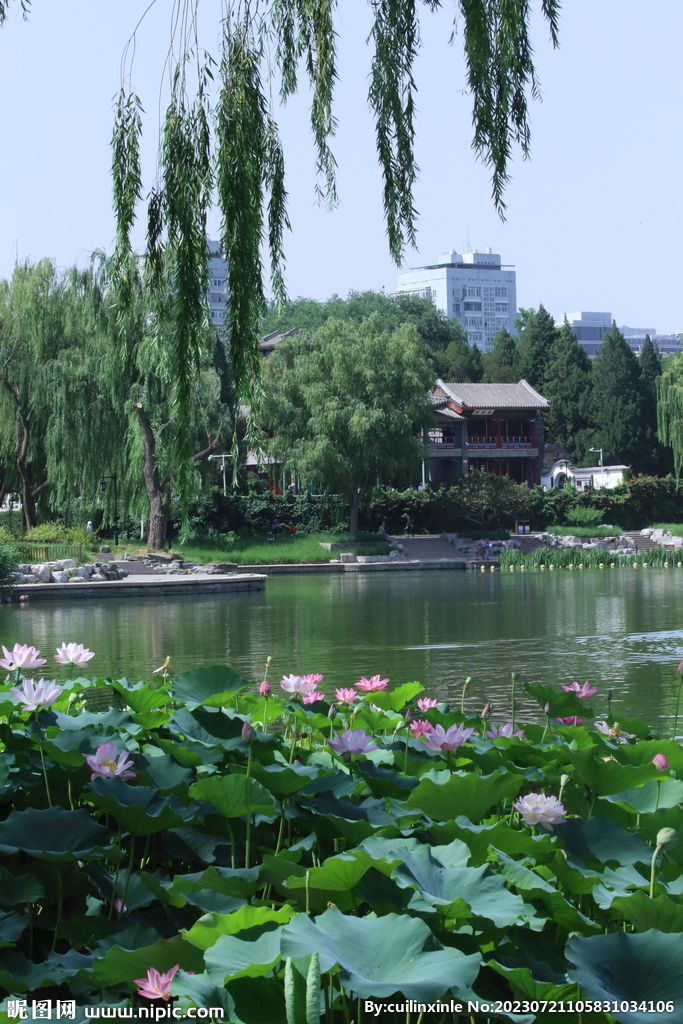 公园风景 