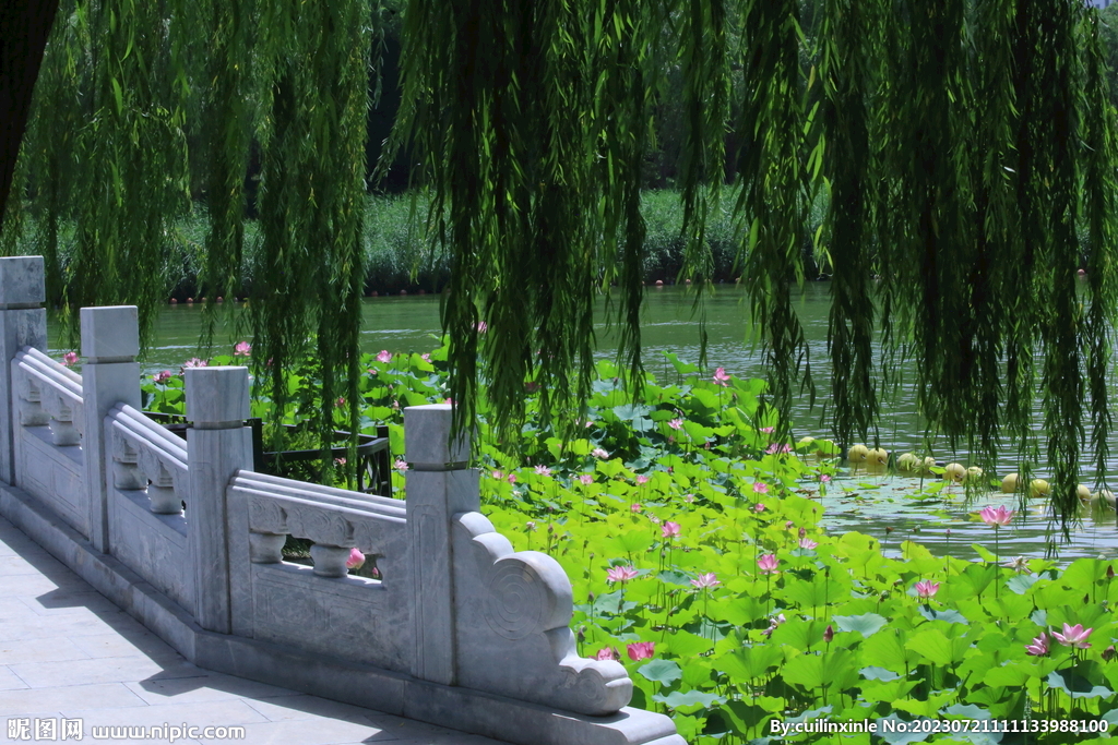 公园风景 