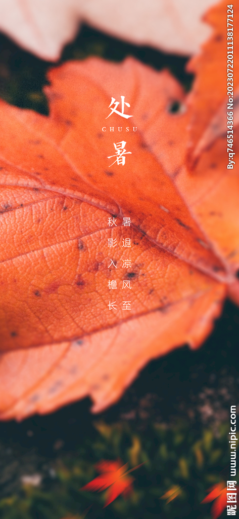 处暑
